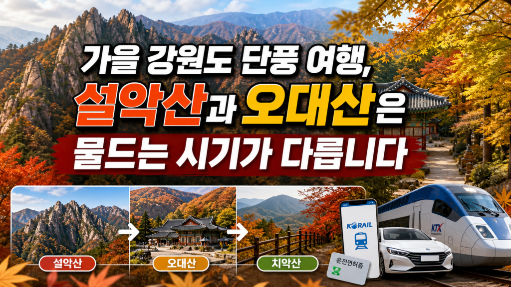 가을 여행지 추천 강원도 5곳 추천 관련 대표 이미지