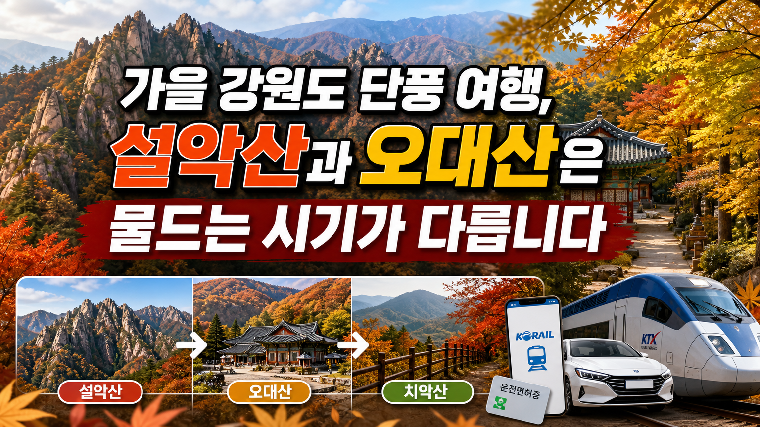 가을 강원도 단풍 여행, 설악산과 오대산은 물드는 시기가 다릅니다